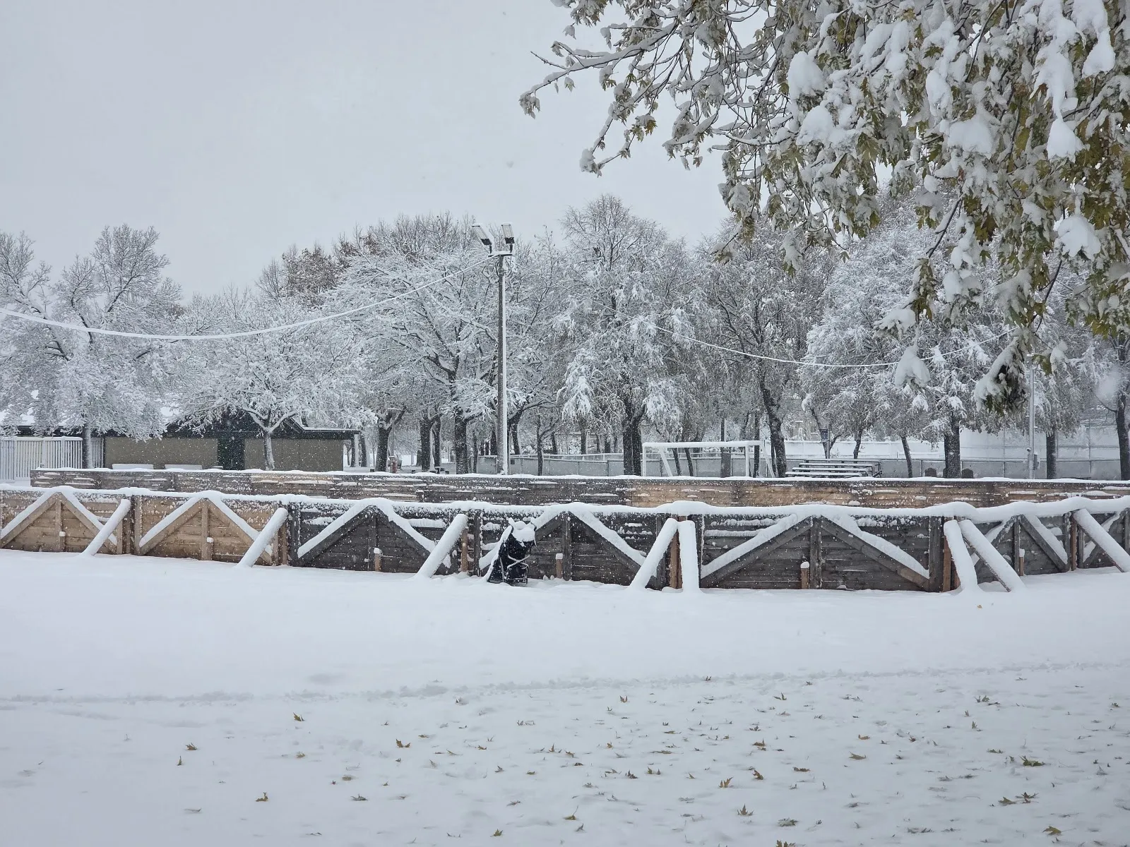 La surface à bandes de la patinoire du parc André-Lavallée sous les premières neiges de la saison, avec les arbres du parc et un lampadaire en arrière-plan — Parc André-Lavallée Outdoor Rinks
