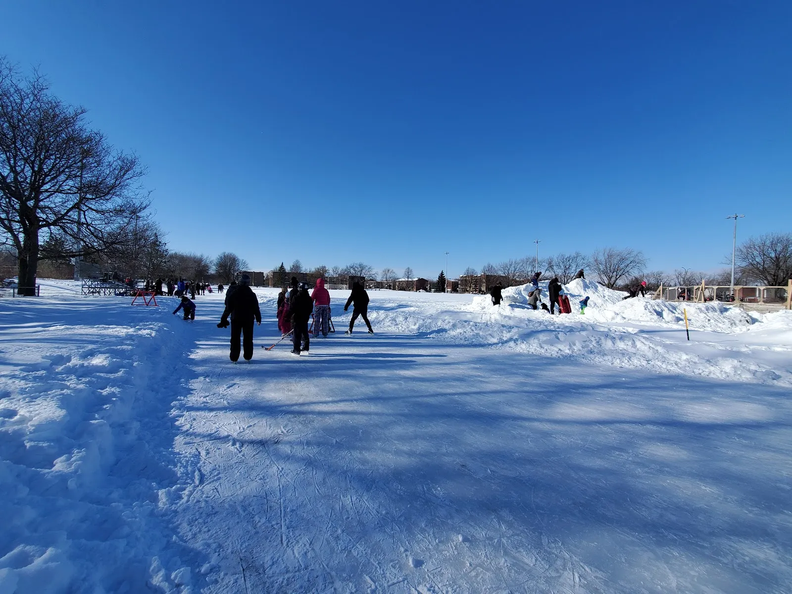 The snow-covered outdoor rink at Parc Daniel-Johnson on a clear winter day, skaters and children spread across the wide ice at a distance — Parc Daniel-Johnson Outdoor Rink