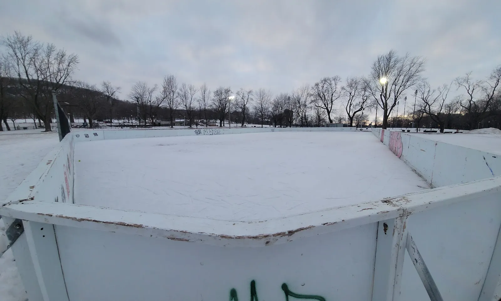 A boarded outdoor rink at Parc Jeanne-Mance dusted with the first snow, white boards around the pad and the park trees beyond — Parc Jeanne-Mance Outdoor Rinks