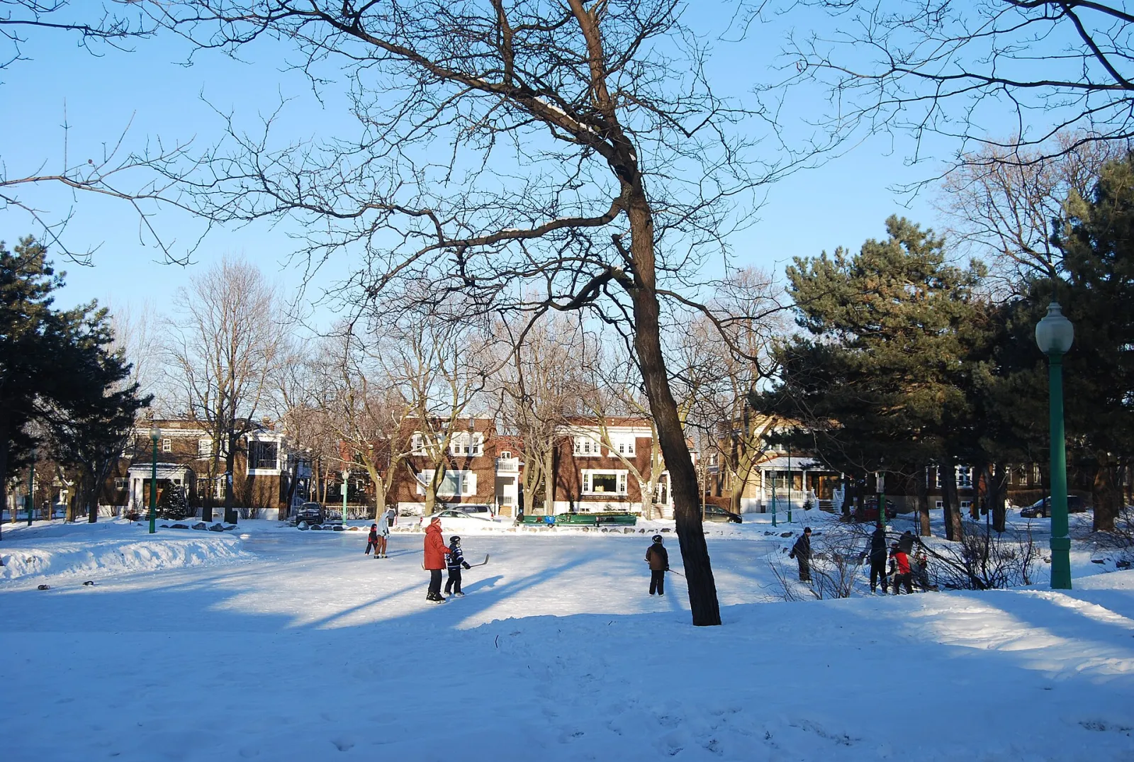 Des patineurs sur la patinoire extérieure de quartier du parc Pratt en hiver, des arbres dénudés et des maisons en arrière-plan — Parc Pratt Outdoor Rink