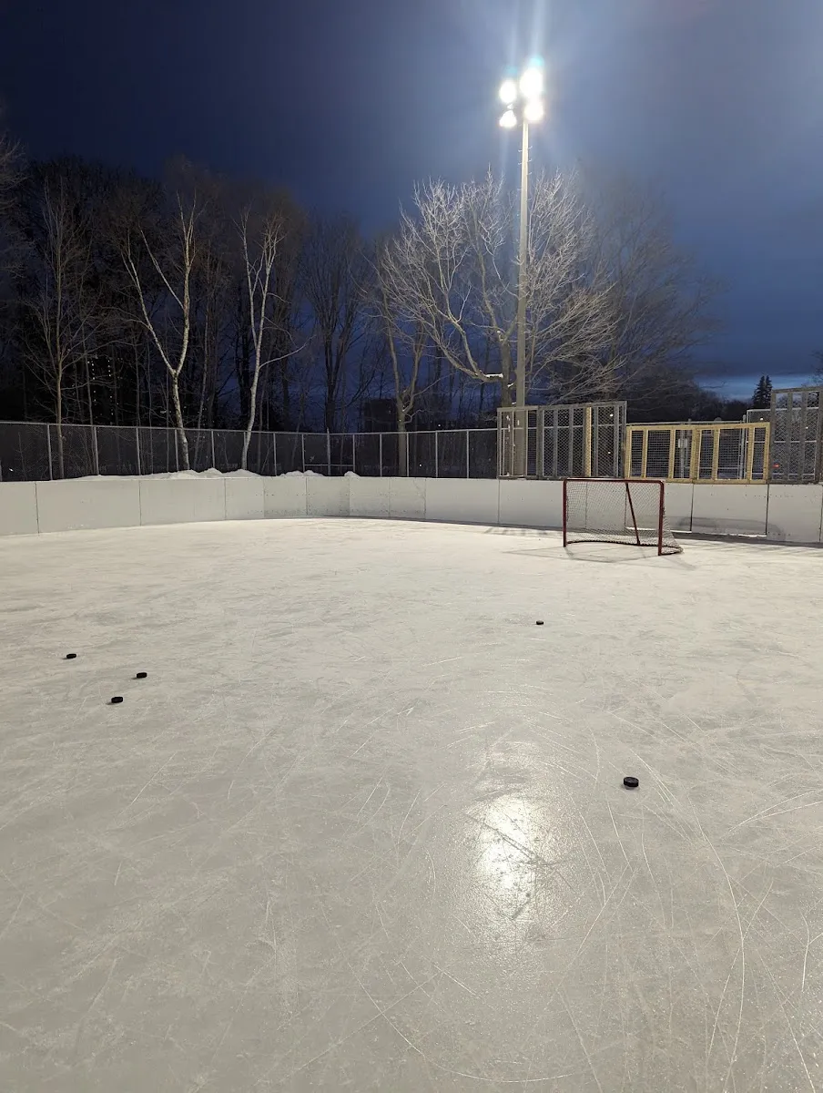 La superficie de hielo y la portería de hockey de la pista al aire libre de Parc Saint-Denys de noche, bajo un reflector — Parc Saint-Denys Outdoor Rink
