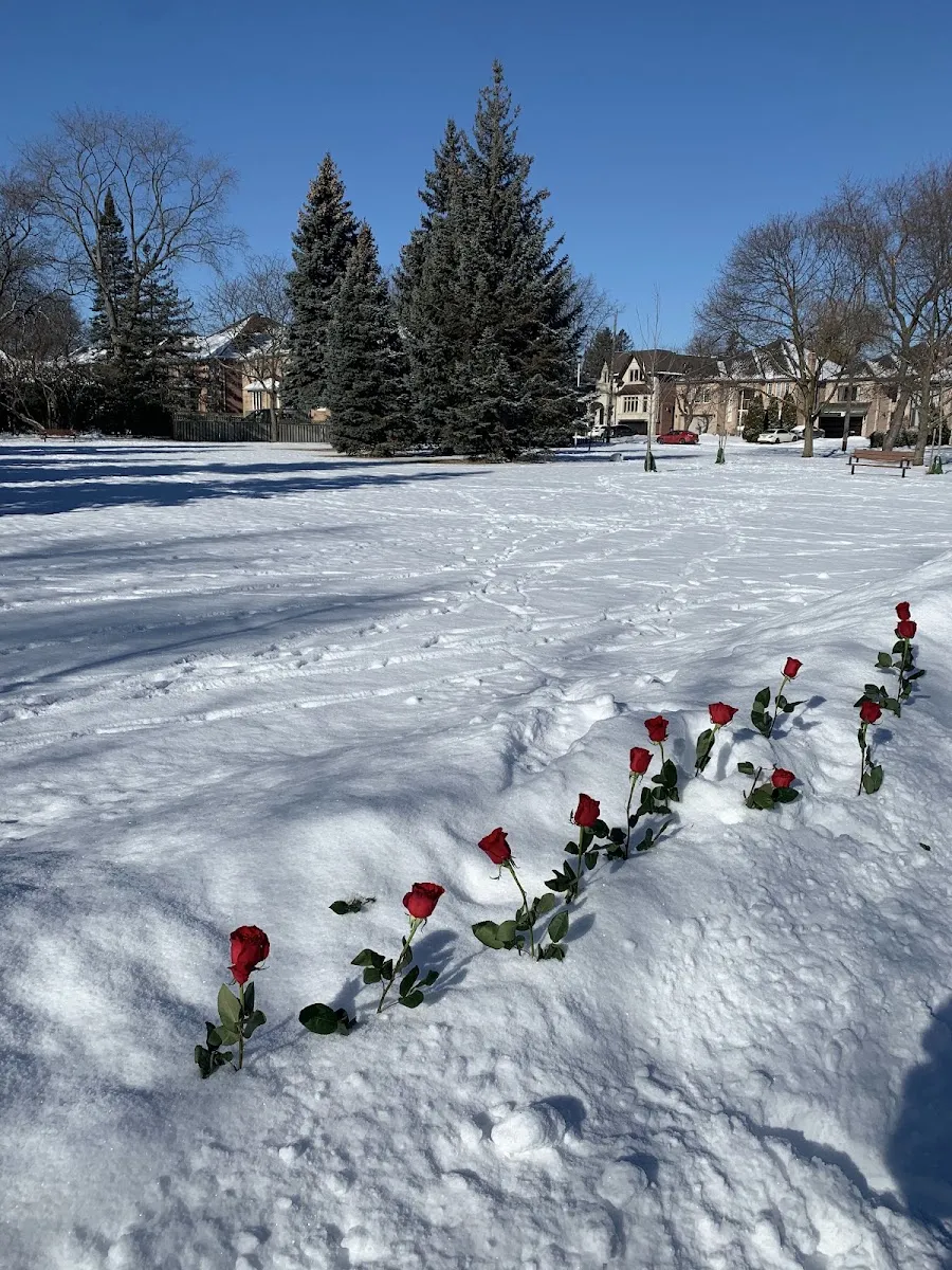 El hielo natural de Parkview Park en invierno, en una foto de su ficha de Google Maps. — Parkview Park Natural Ice Rink