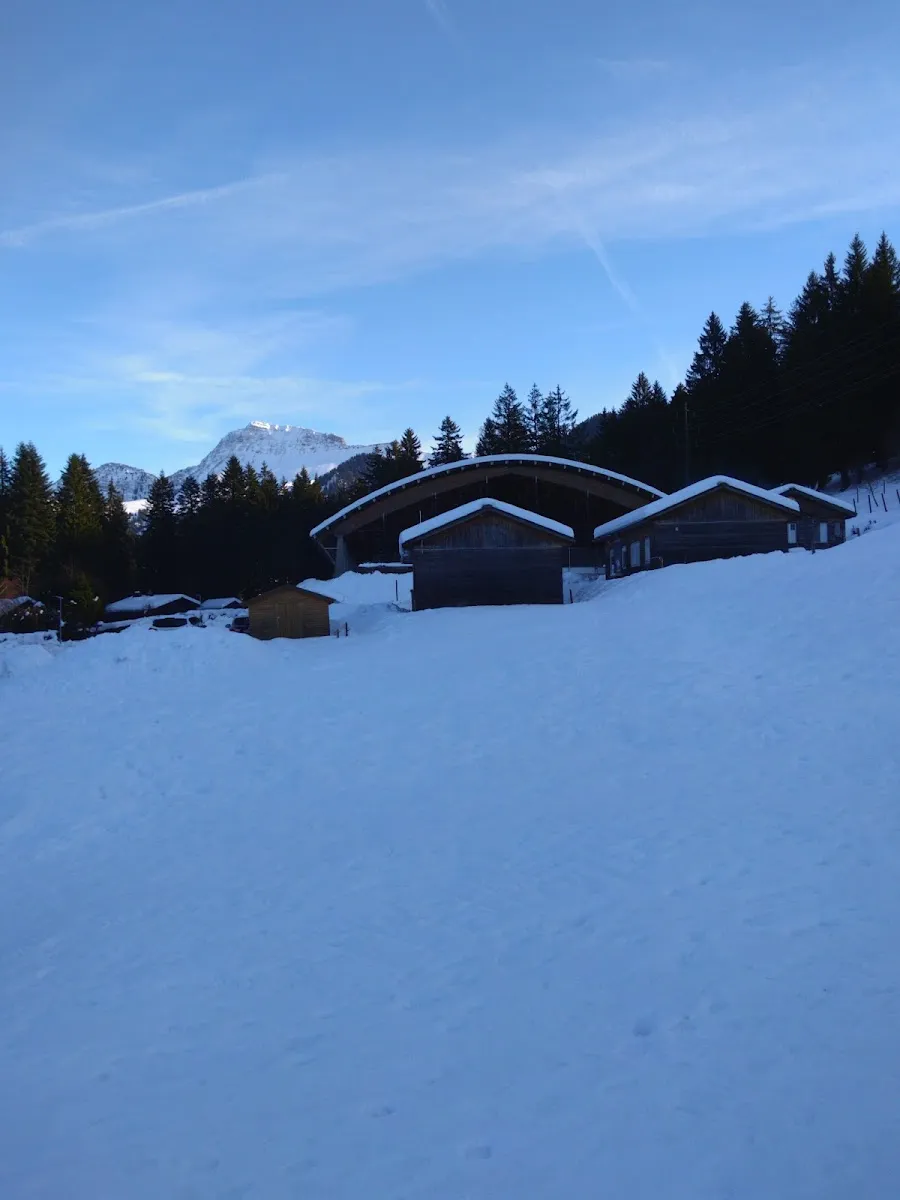 The curved-roof Paccots rink buildings in snow with a forested ridge behind. — Patinoire des Paccots
