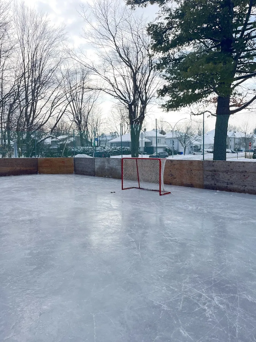 La patinoire extérieure avec bandes vide du parc Adolphe-Chapleau à Sainte-Thérèse, avec un but rouge et un grand arbre près des bandes — Patinoire du parc Adolphe-Chapleau