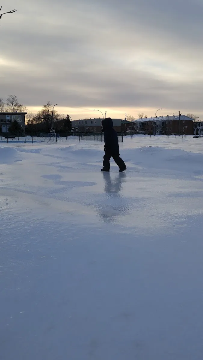 A single skater on the outdoor ice at Parc Christ-Roi with a row of low buildings beyond the boards. — Patinoire du parc Christ-Roi (Longueuil)