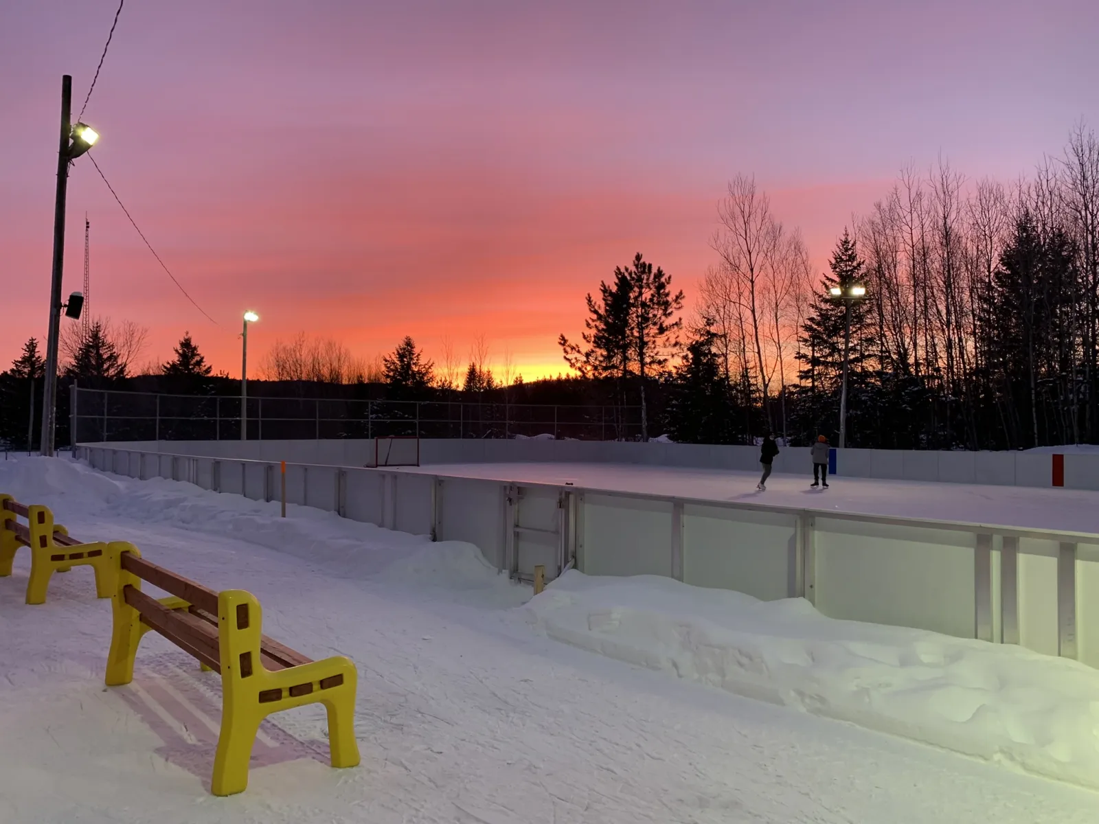 Patinadores a lo lejos en la pista con vallas al atardecer, con bancos amarillos a lo largo de las vallas, focos y abetos detrás. — Patinoire du parc Claude-Archambault (Saint-Didace)