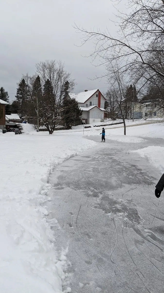 A skater in the distance on the cleared ice path of the figure-eight rink at Parc Godon, with the neighbourhood houses behind — Patinoire du parc Godon