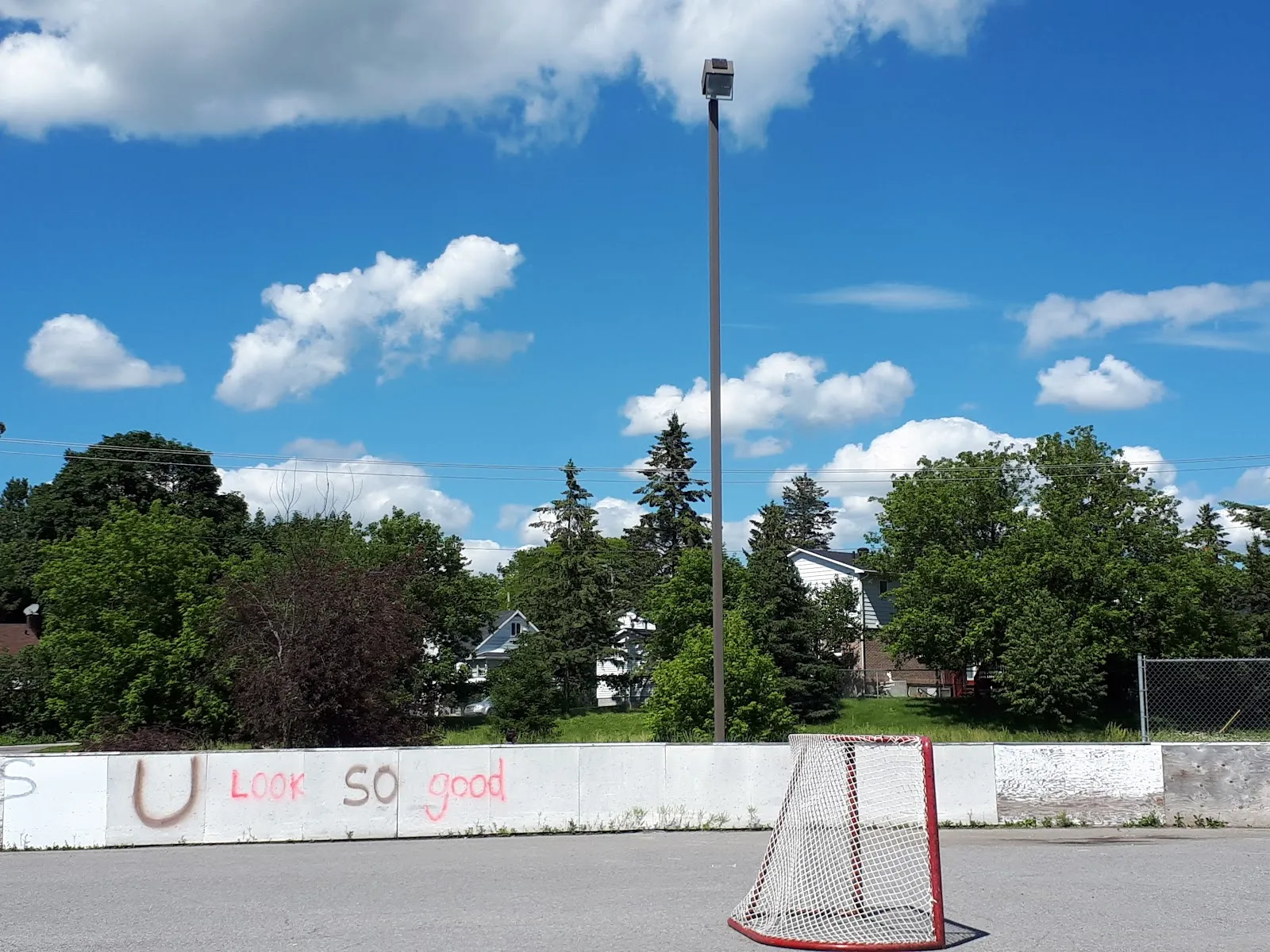 The boards and goal of the Parc Woods rink in Gatineau in summer, with trees and houses beyond — Patinoire du parc Woods (Gatineau)