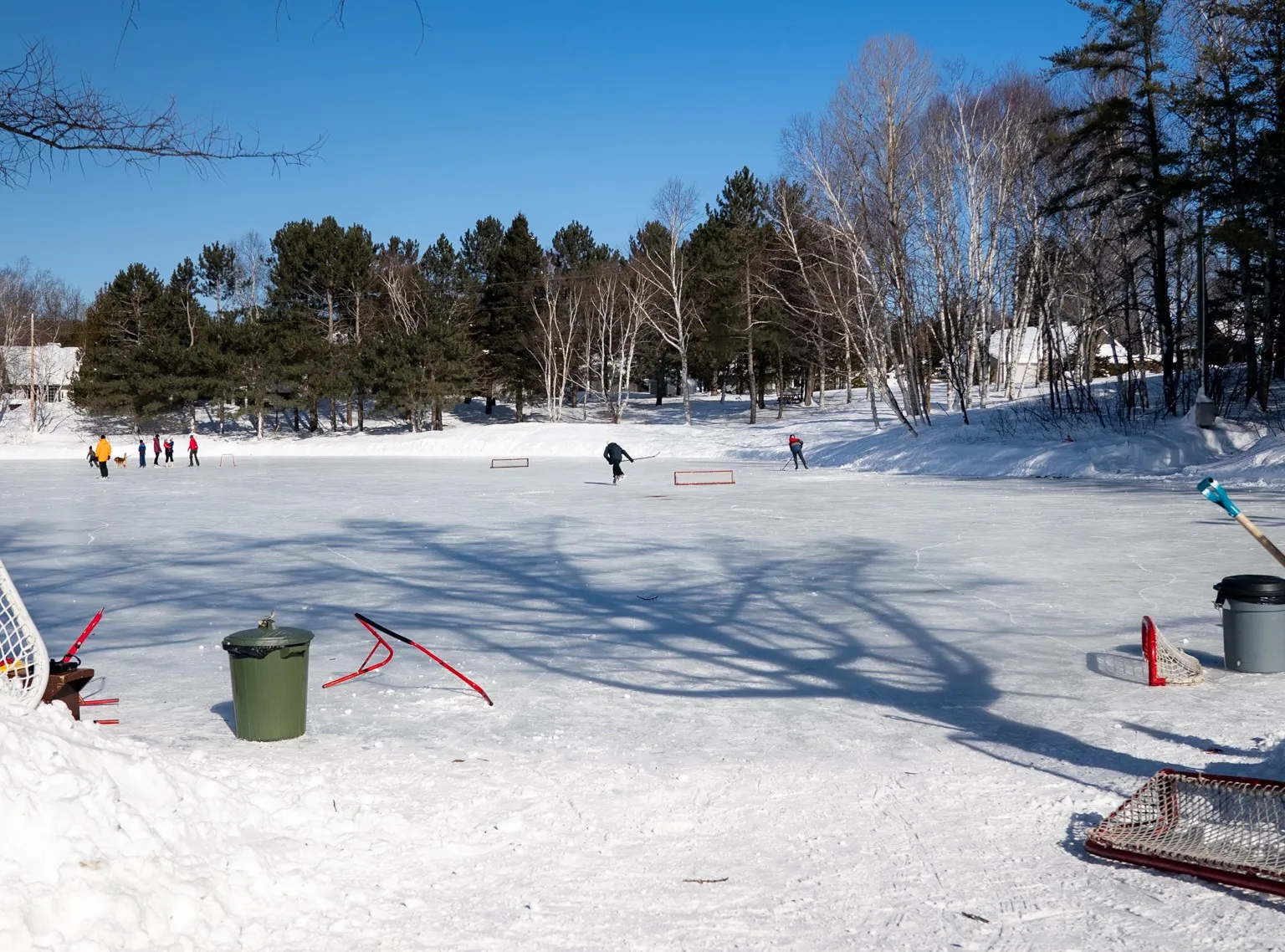 The natural-ice rink at the lake in winter, with a few skaters in the distance, goals and a bin on the ice, and spruce trees along the edge. — Patinoire naturelle du lac du Faubourg (Saint-Ferréol-les-Neiges)