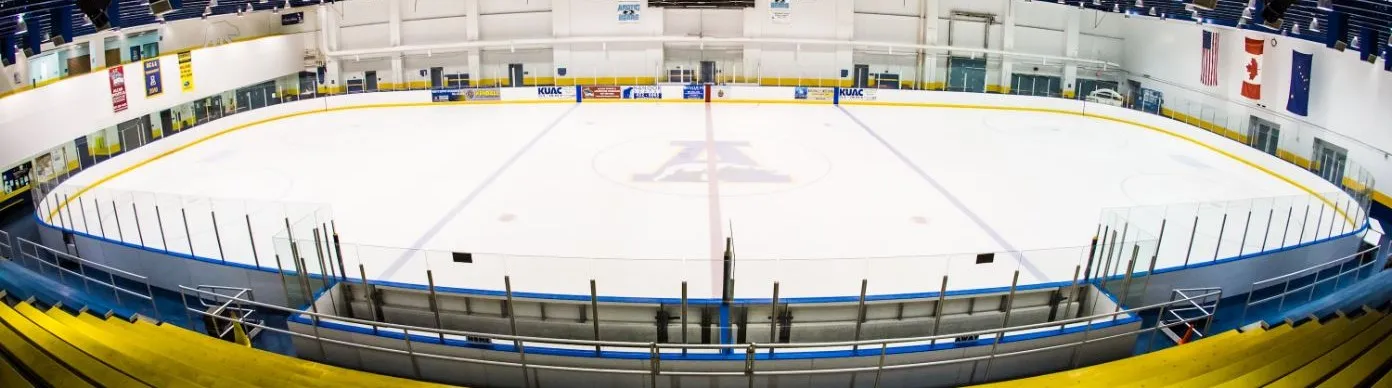 The NHL-size ice sheet seen from the stands, with the Nanook block A at center ice and the arena's flags on the end wall. — Patty Ice Arena