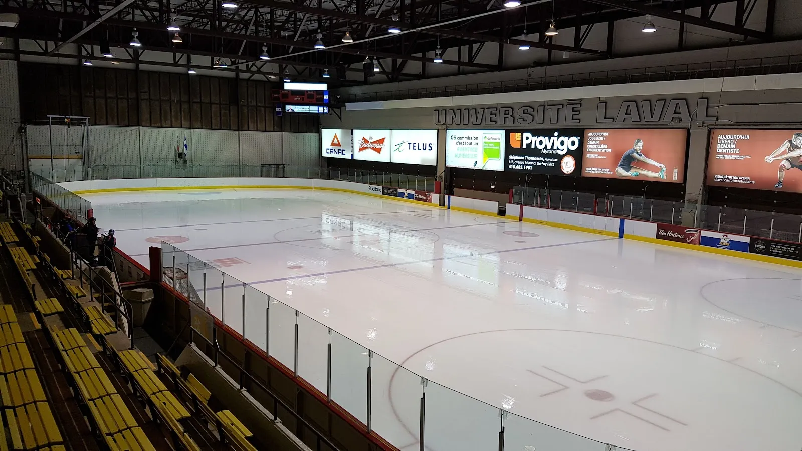 El hielo vacío visto desde las gradas amarillas, con vidrio a lo largo de las vallas, pantallas de patrocinadores en el muro del fondo y las palabras Université Laval encima de ellas. — PEPS de l'Université Laval