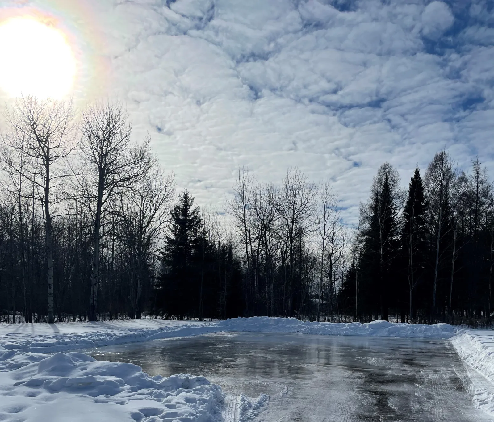 The Picton Parkette skating pond among the trees — Picton Parkette Skating Pond