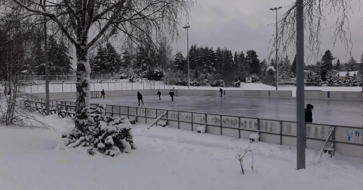Skridskobanorna i Pietola på vintern: skridskoåkare på avstånd på en utomhusrink med sarg, med en snötäckt björk i förgrunden. – Pietolan luistelukentät
