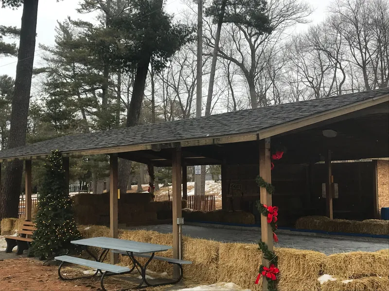 The covered outdoor ice rink pavilion in Port Austin: an open timber shelter with straw bales around the ice, a picnic table and pine trees beside it. — Port Austin Covered Outdoor Ice Rink