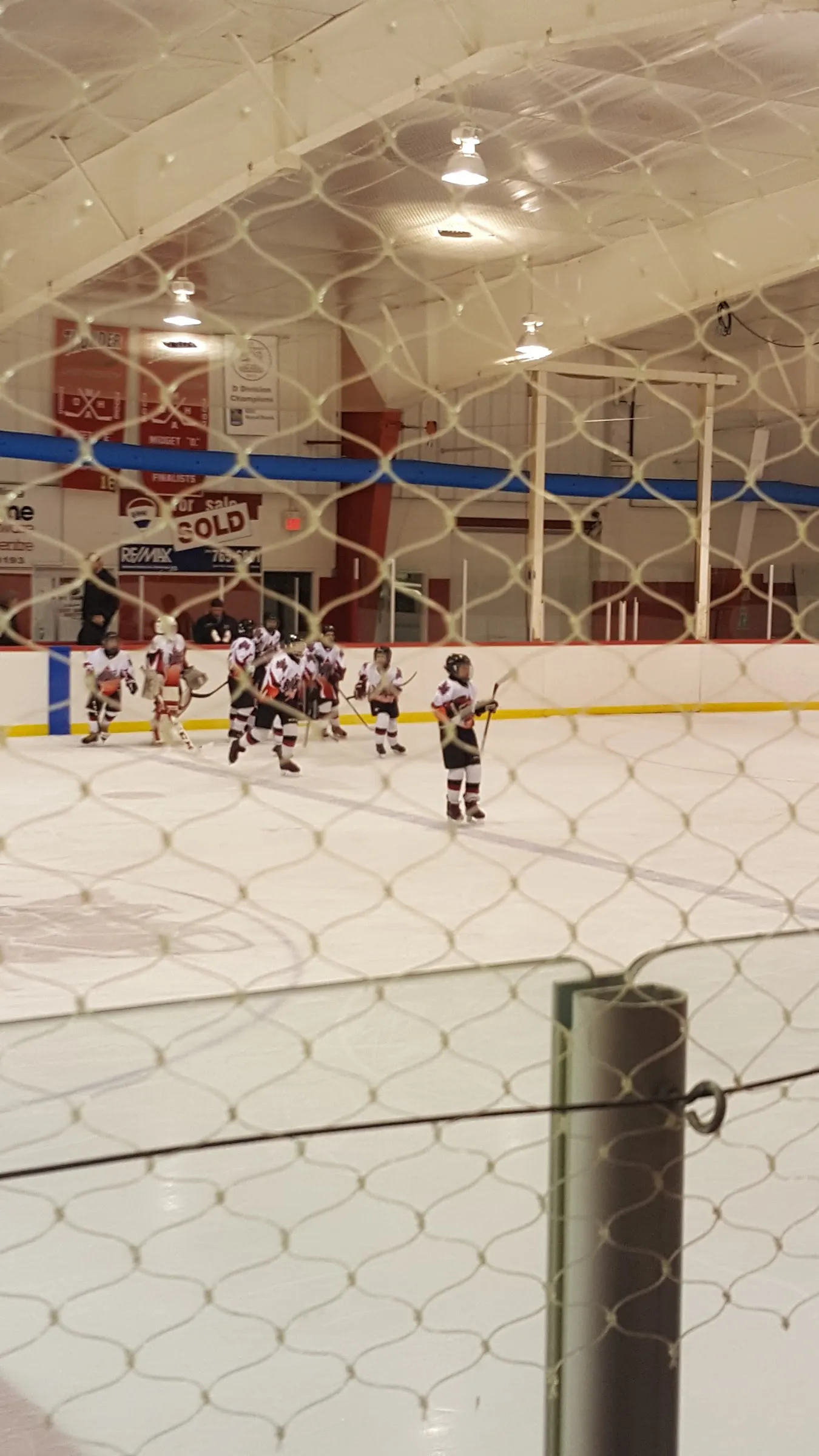 A minor hockey game on the ice at Port Carling Arena seen through the safety netting, with red boards, sponsor signs and the white arched roof behind. — Port Carling Arena