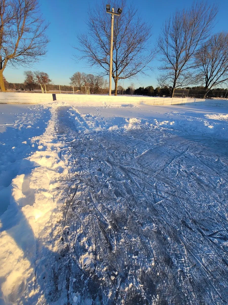 The rink at Prairie Knoll Park in winter sun, with skate-scarred ice, snow banks, a light pole and low boards and bare trees in the distance; no people. — Prairie Knoll Park Ice Rinks