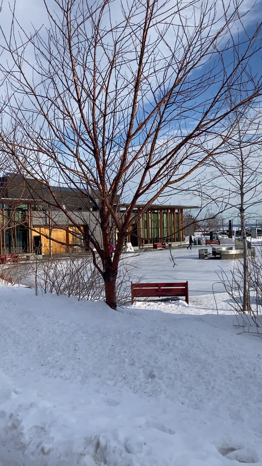 El Water Garden Pavilion en Prince Arthur's Landing en invierno, con una banca y árboles sin hojas en la nieve — Prince Arthur's Landing Ice Rink