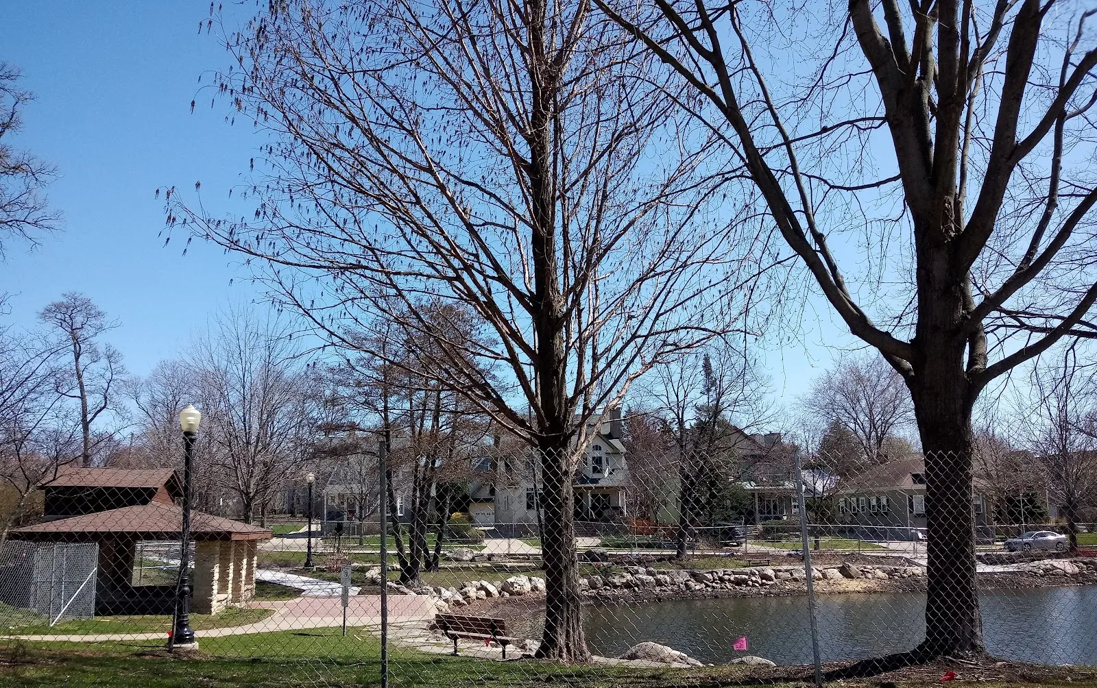 The frozen Prince Pond in Prince Park with the gazebo, fence and neighbouring houses — Prince Pond Ice Rink