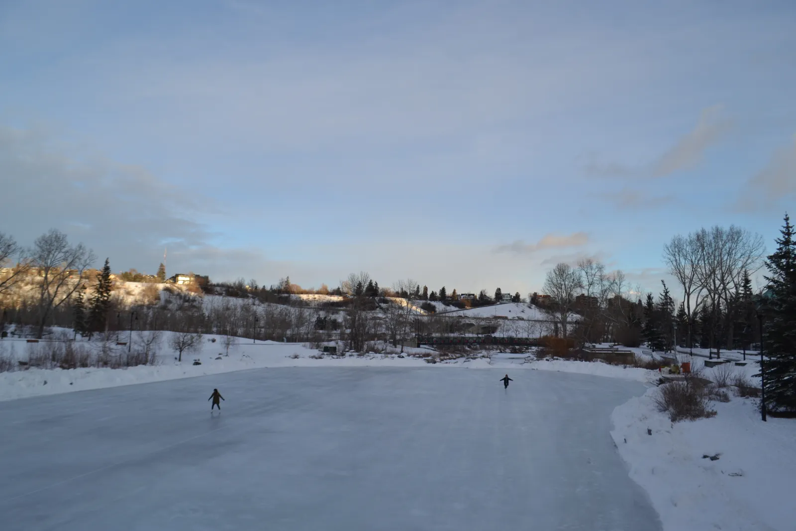La laguna de Prince's Island en invierno, con patinadores pequeños sobre el hielo vistos desde la orilla, con árboles sin hojas y el cielo al fondo — Prince's Island Park Outdoor Skating Rink