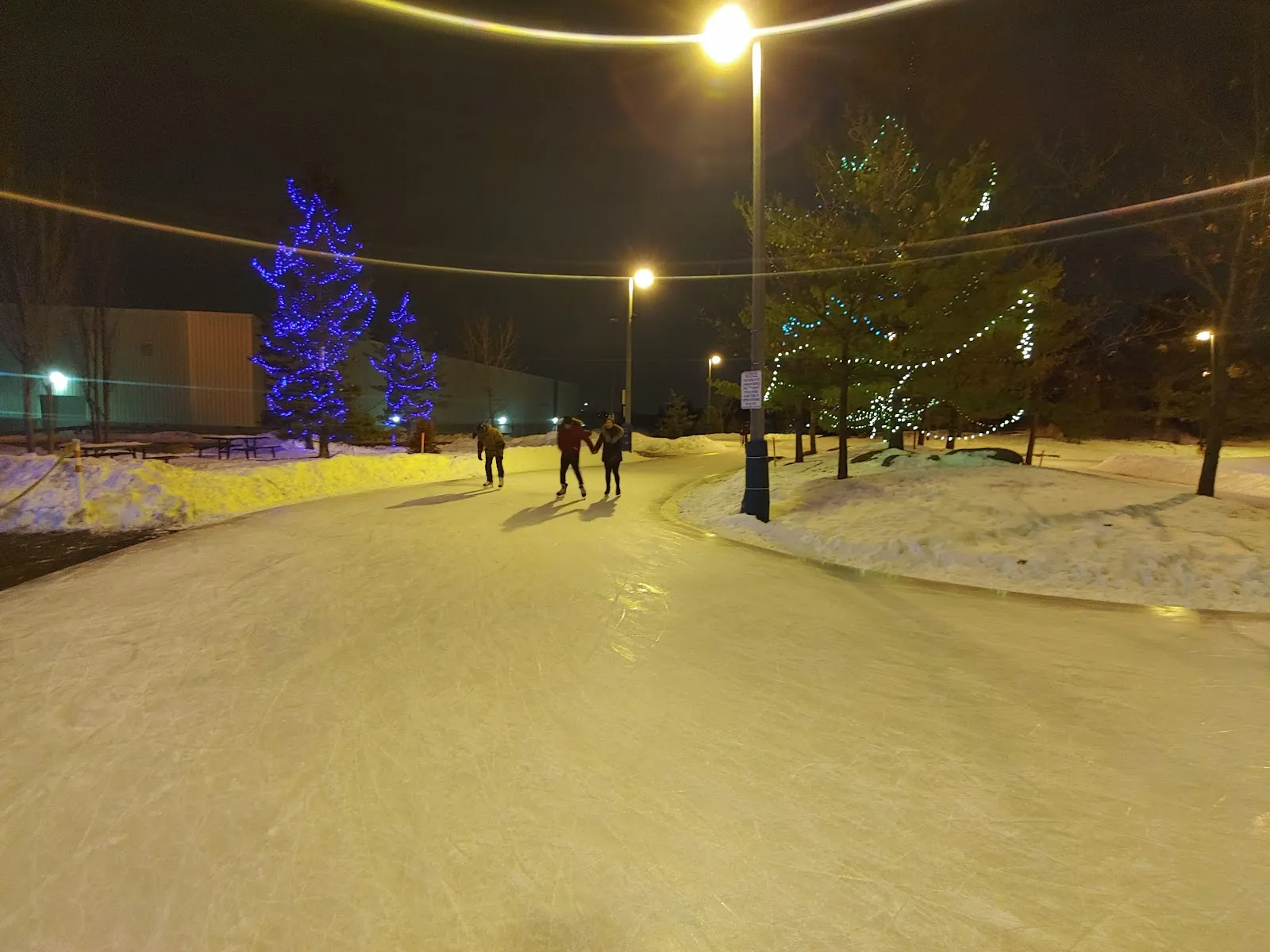 The lit Richmond Green Skate Trail at night, with a few skaters on the looped ice and string lights in the trees — Richmond Green Skate Trail