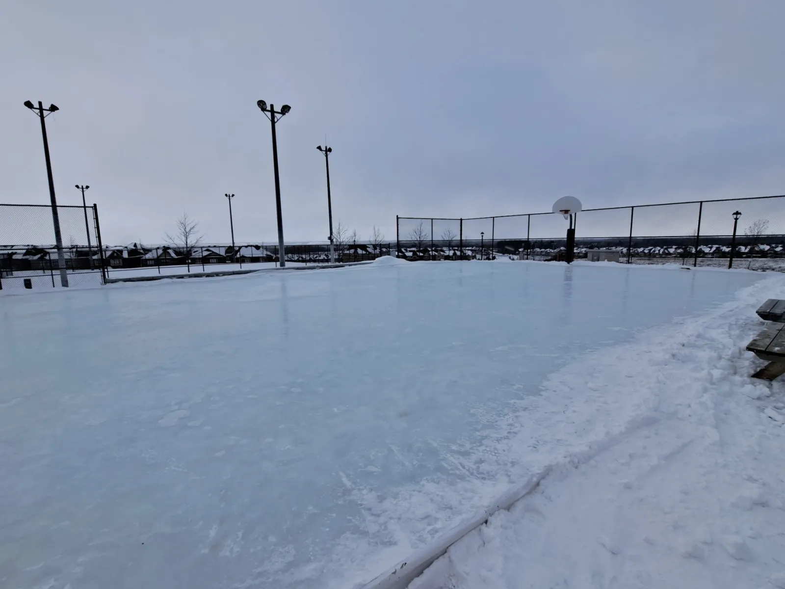 The frozen natural-ice surface of the Ridge View Park outdoor rink in Holland Landing, with floodlight poles and the boards beyond. — Ridge View Park Outdoor Rink (East Gwillimbury)