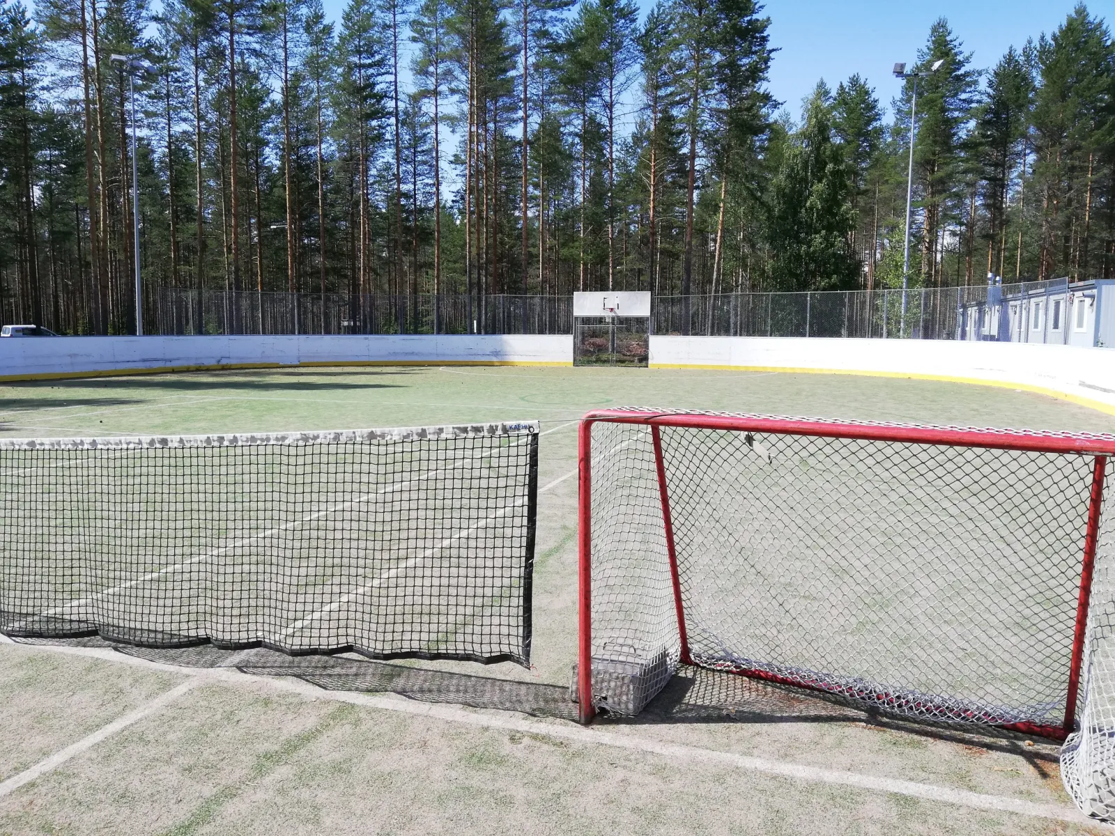 The boarded rink at the Riistavesi school in Kuopio in summer, with two goals on its sand-turf surface and pine woods behind. — Riistaveden koulun kaukalo