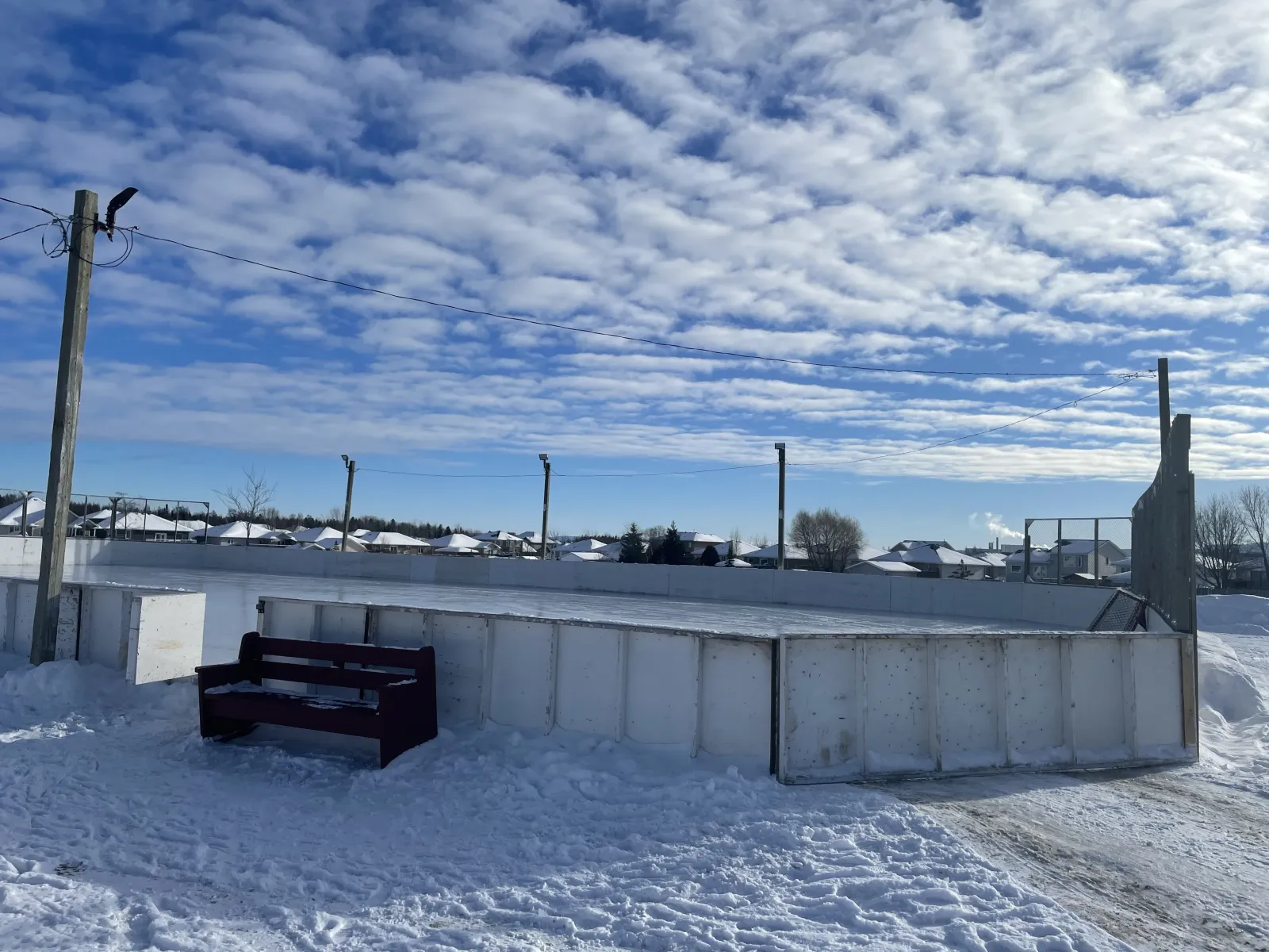 The River Terrace Park boarded rink with a bench beside the boards — River Terrace Park Outdoor Rink