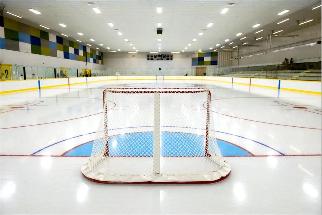 A goal and blue crease on a bright empty sheet, a banded yellow and blue wall and a ceiling of round lights behind. — Sardis Sports Complex