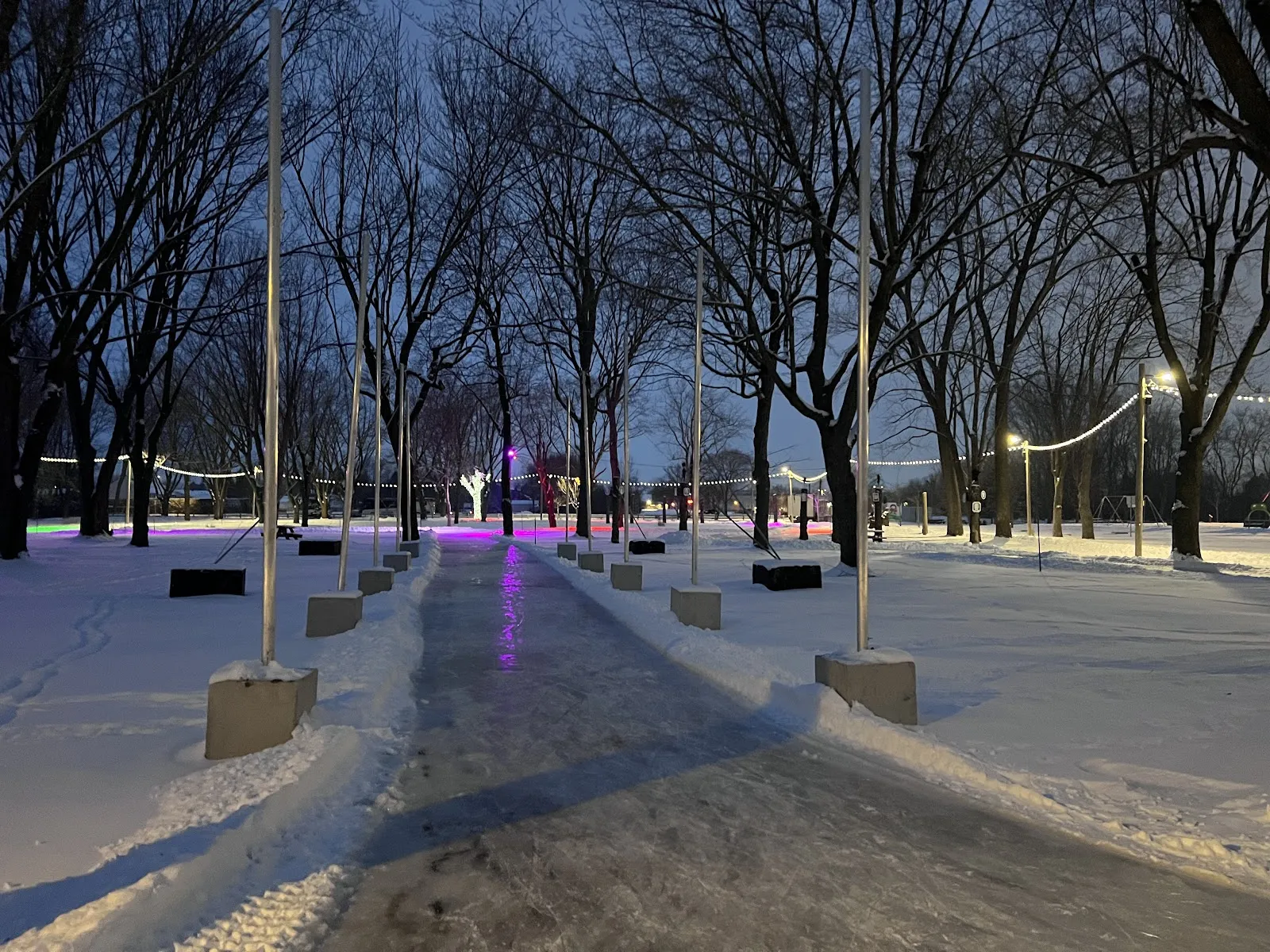 Le sentier glacé éclairé du Centre-de-plein-air Ronald-Beauregard à Saint-Jean-sur-Richelieu par une soirée d'hiver, avec des arbres et des guirlandes lumineuses le long du sentier — Sentier glacé du Centre-de-plein-air Ronald-Beauregard