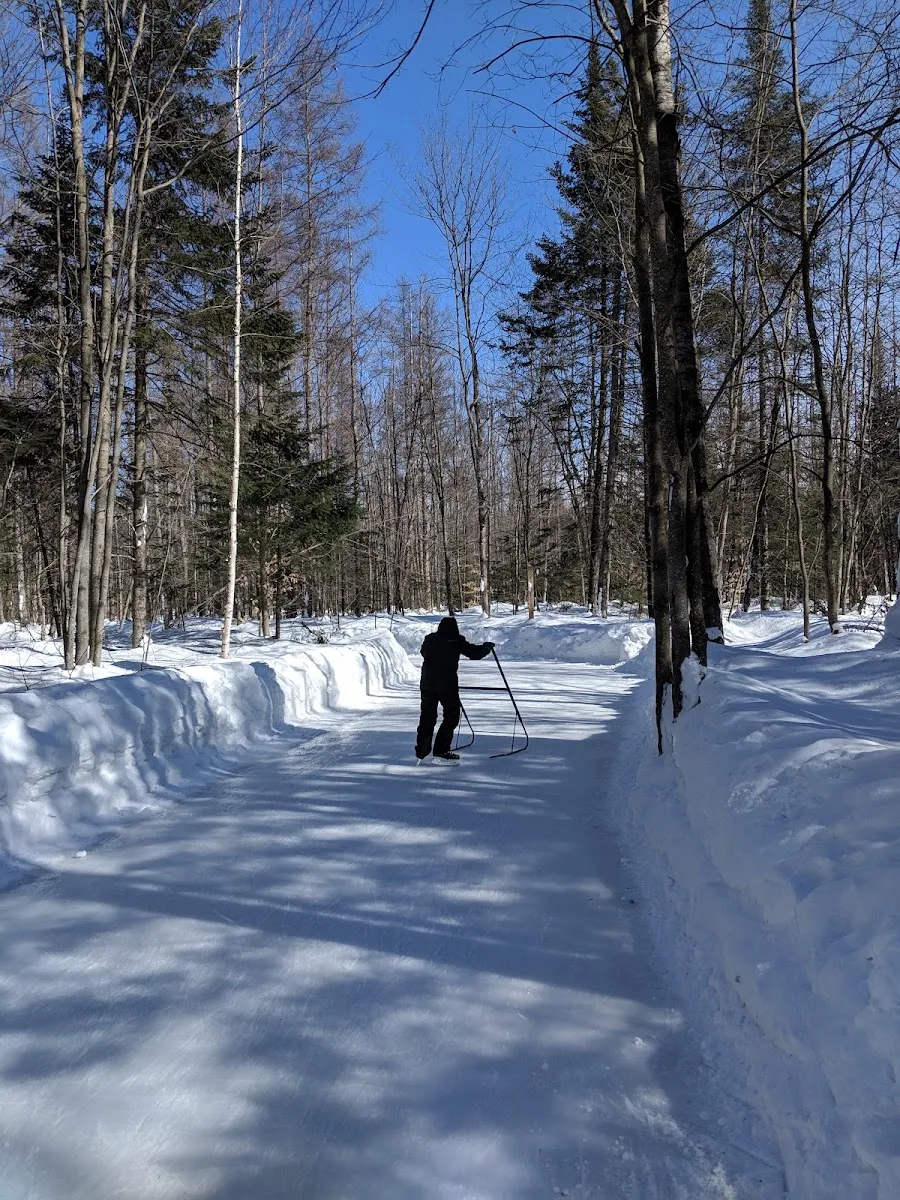 A skater on the groomed skating trail through the woods at Parc John-H.-Molson in winter — Sentiers glacés du parc John-H.-Molson