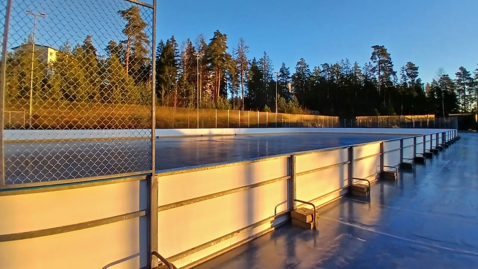 The boarded artificial-ice rink at Söderkulla in low golden light, with a mesh fence and pines along the edge. — Söderkullan tekojää