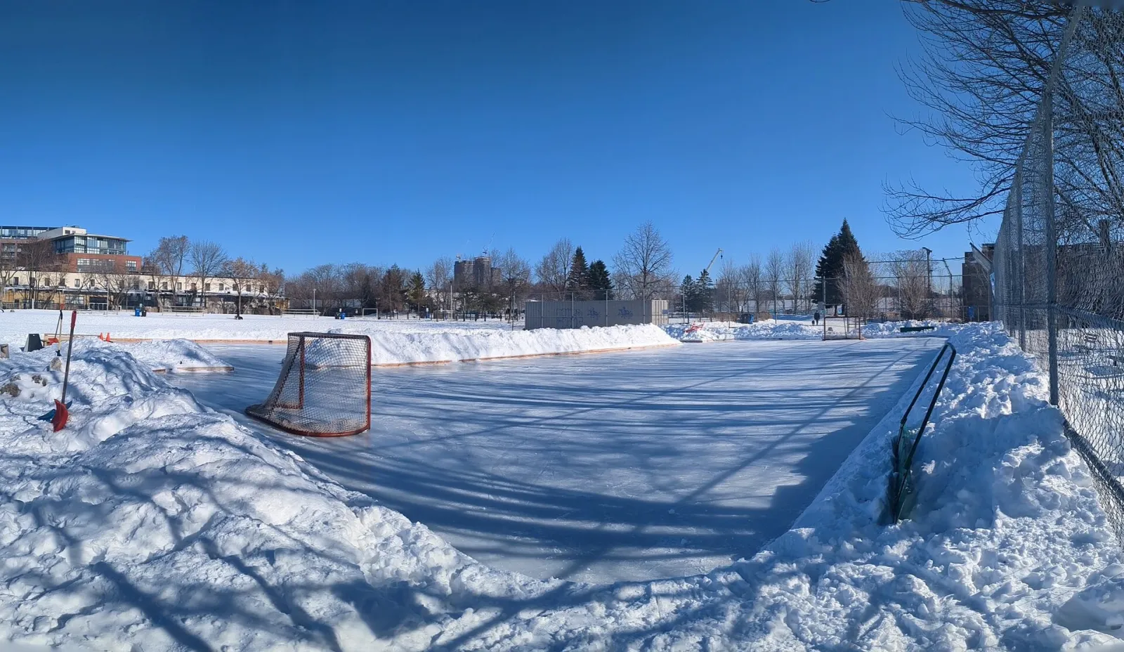The natural-ice rink built on the baseball diamond at Sorauren Park in Toronto on a clear February morning, with a goal, snowbanks along the edge and houses beyond. — Sorauren Avenue Park Natural Ice Rink