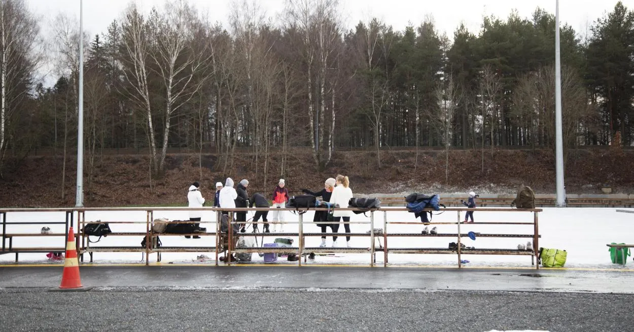 The artificial ice rink at Sorsapuisto in Tampere, with a few skaters on the ice and tall pines behind the boards. — Sorsapuiston tekojäärata ja kaukalo
