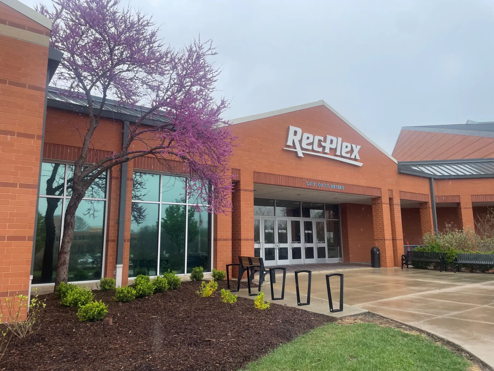 La entrada del Rec-Plex: un edificio de ladrillo rojo con el letrero de Rec-Plex sobre una entrada de vidrio, un árbol de Judea en flor y jardineras al frente. — St. Peters Rec-Plex