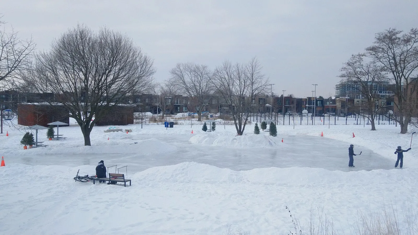 The ice at Stanley Greene Park Natural Ice Rink, in a photo from its Google Maps listing. — Stanley Greene Park Natural Ice Rink
