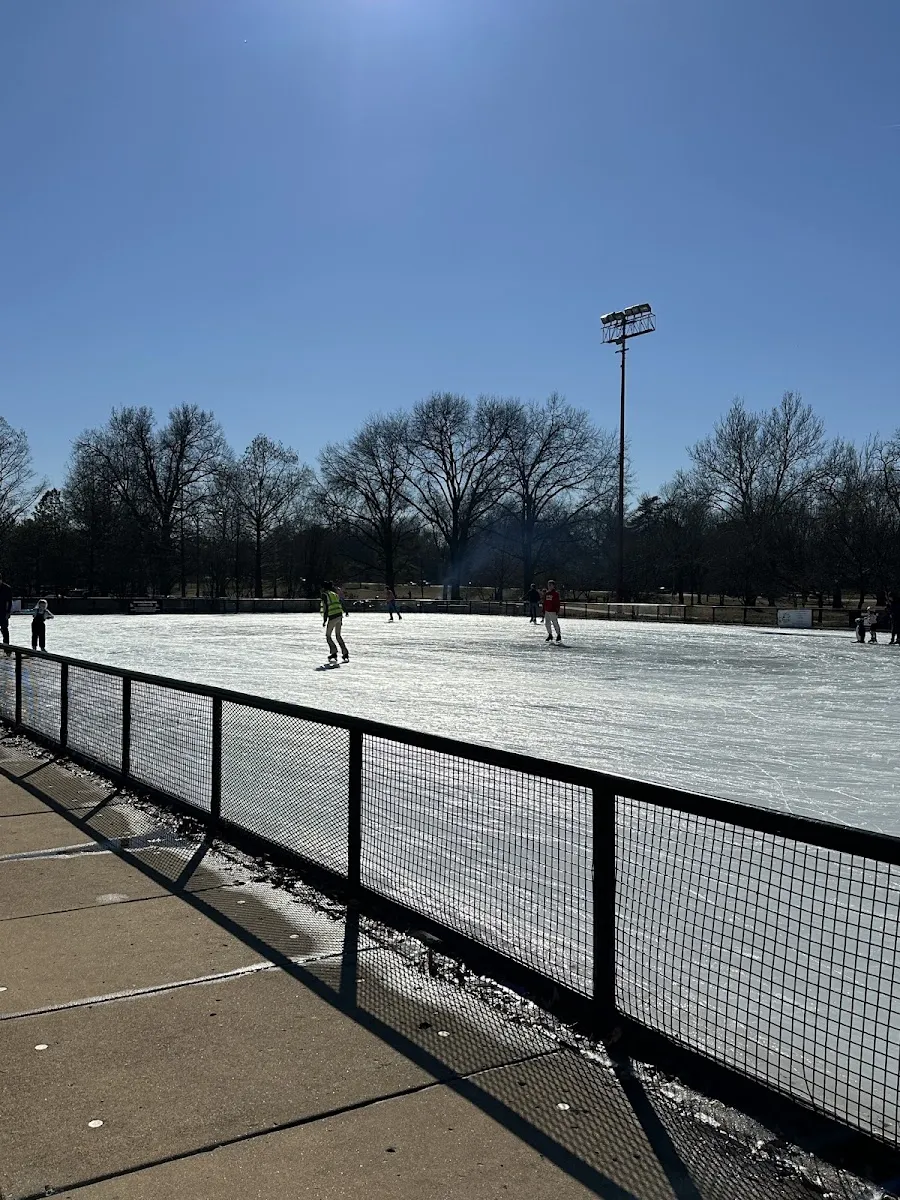 The open-air Steinberg rink in Forest Park under a blue sky, with a few skaters far off beside the fence and tall trees behind. — Steinberg Rink