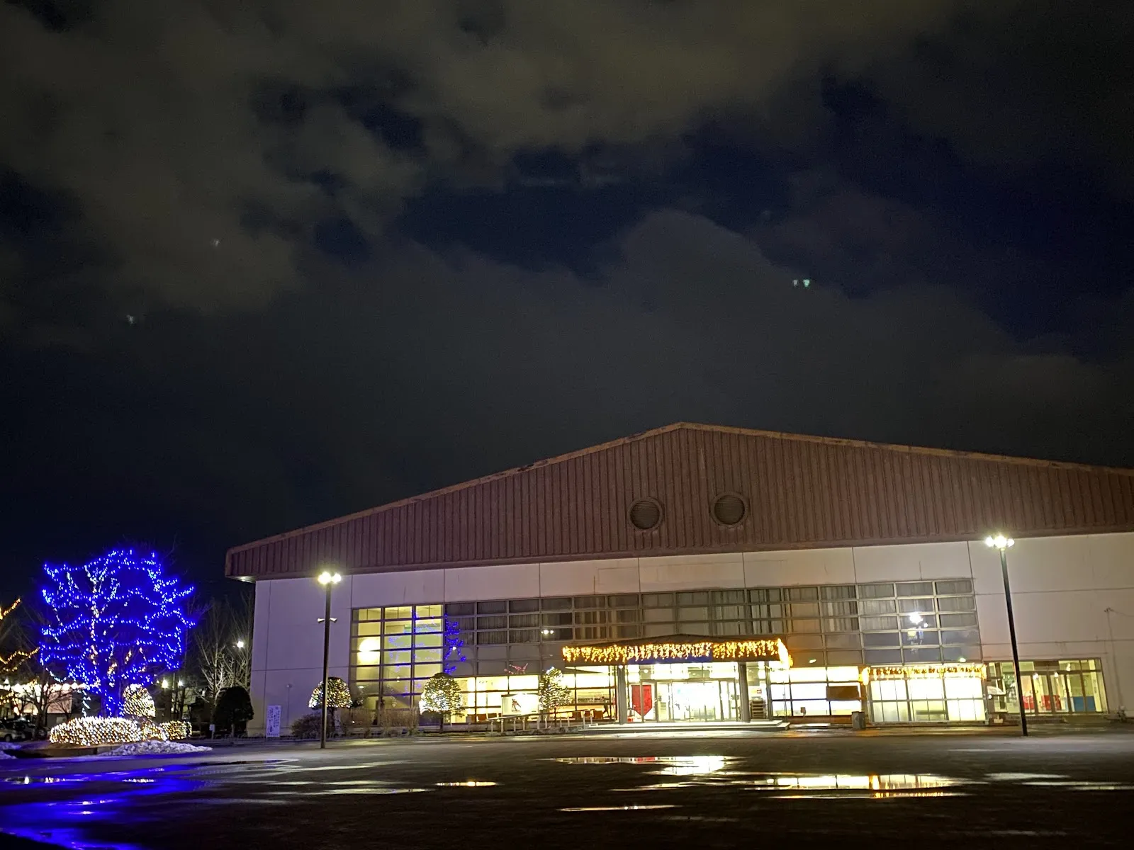 The lit entrance of Technol Ice Park Hachinohe at night, a low building with a glass front and a blue-lit tree beside the forecourt — Technol Ice Park Hachinohe