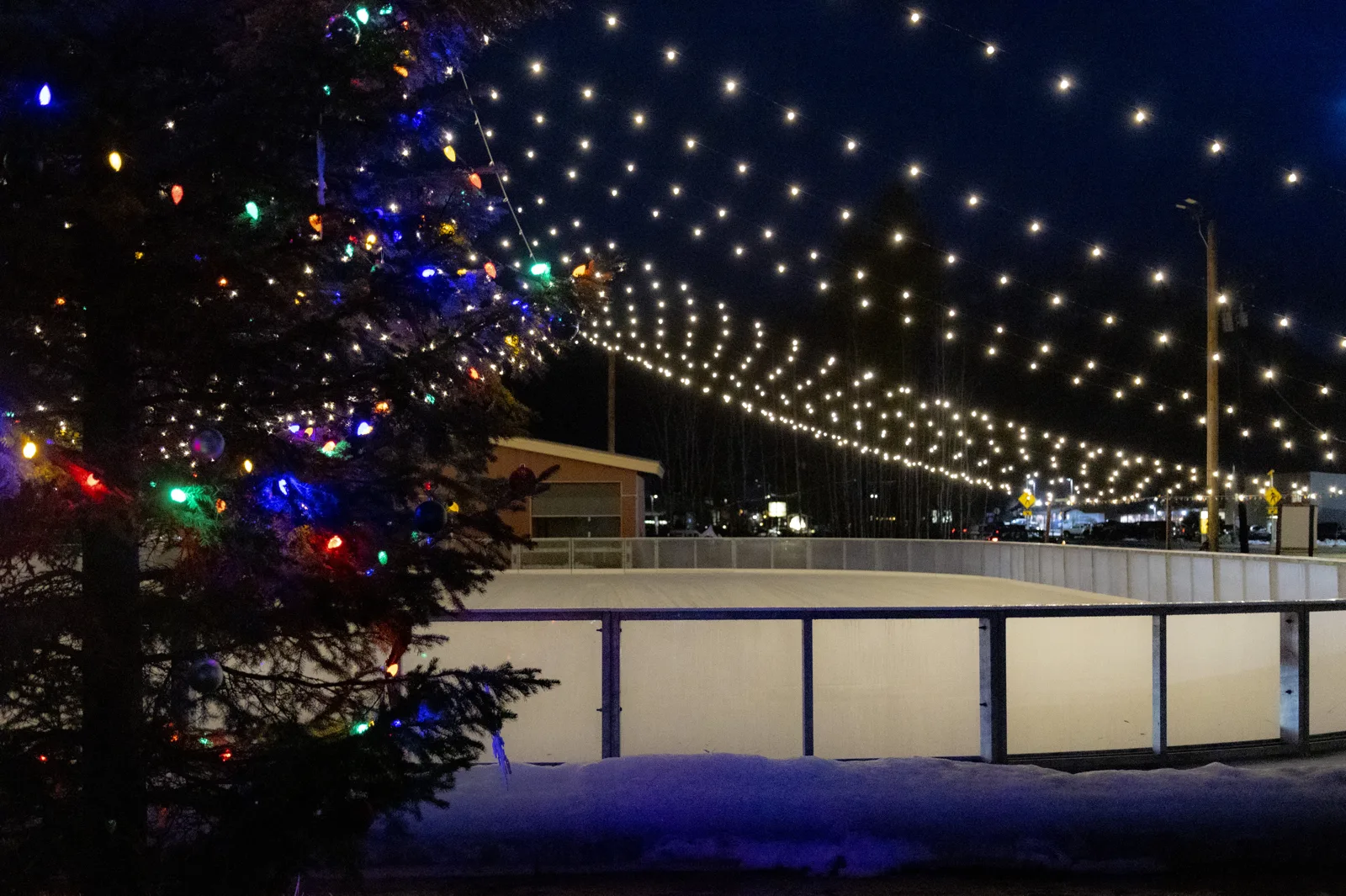 The Pond's boards and ice under the string lights and Christmas tree — The Pond Ice Rink