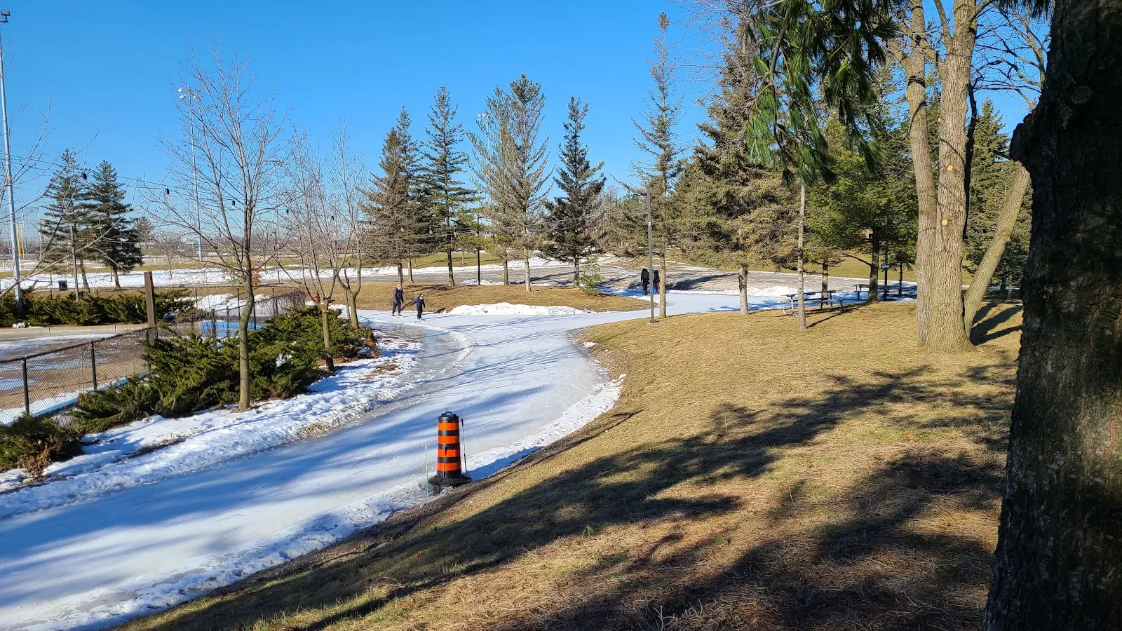 The icy skating trail winding through the trees at the Sports Village — The Sports Village Skating Trail (Vaughan)