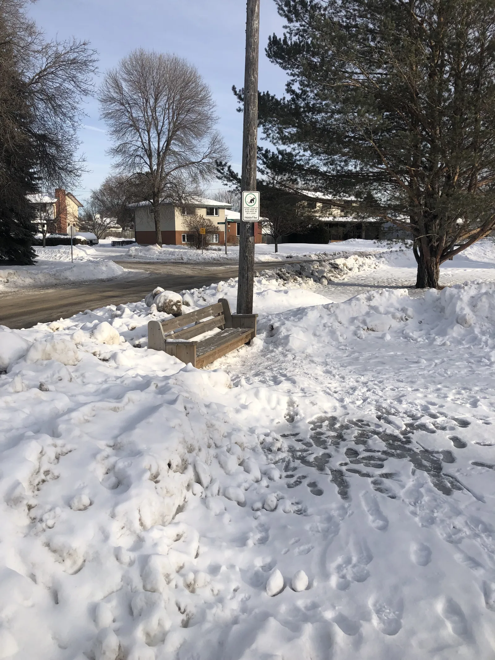 A bench and the roadside entrance to the Thornloe Park pond — Thornloe Park Skating Pond