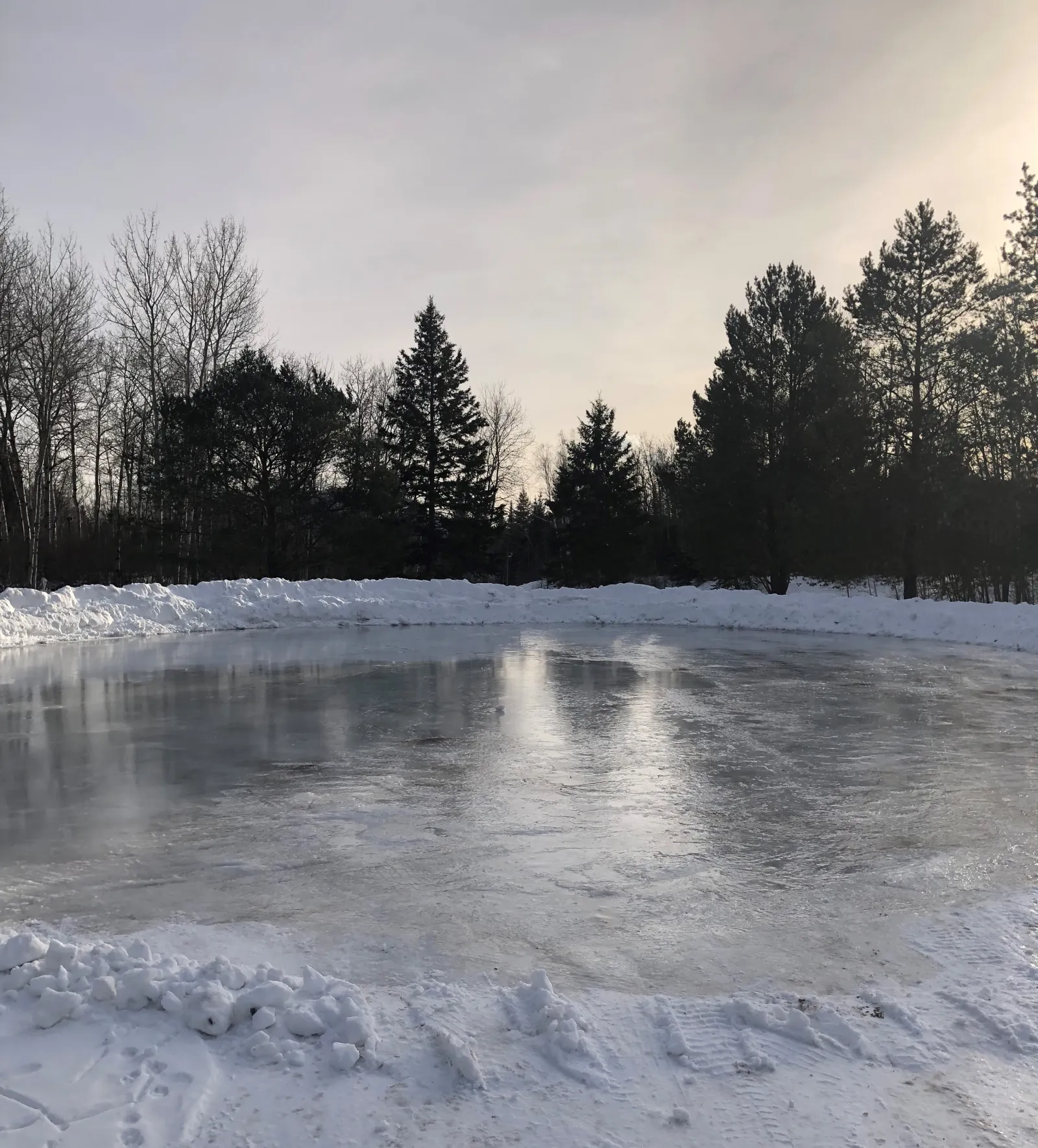The Thornloe Park skating pond among the trees — Thornloe Park Skating Pond
