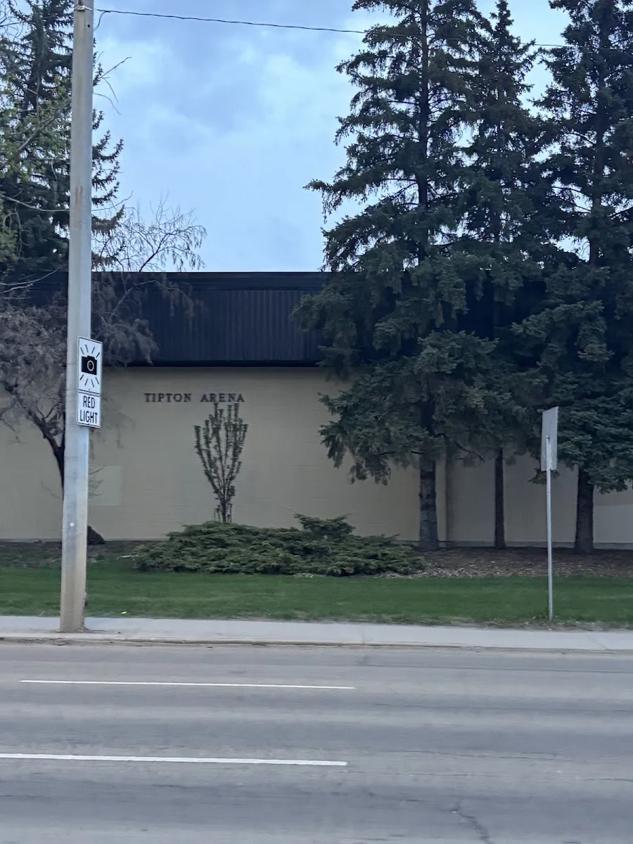 The cream-coloured wall of Tipton Arena with its name in dark letters beneath the black metal roof, seen across the street between spruce trees. — Tipton Arena