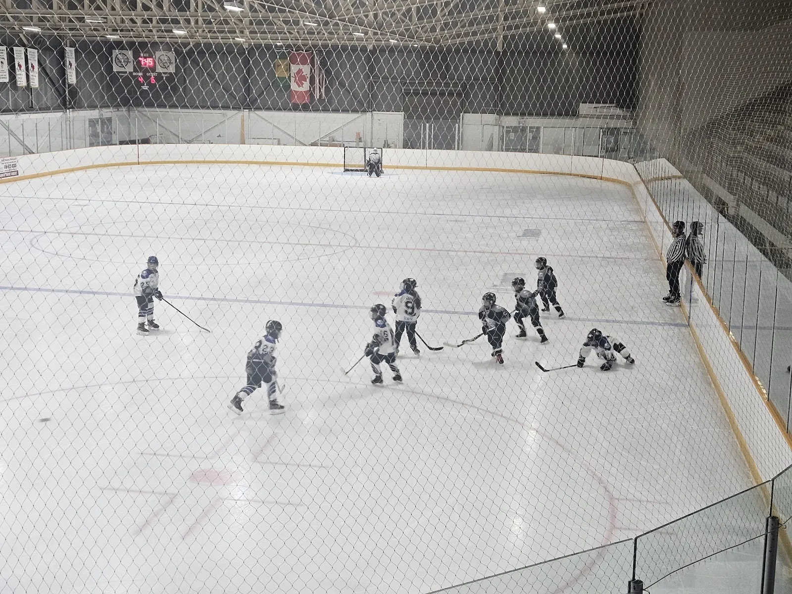 A learn-to-skate session in the arena, small children spread across the sheet seen from the stands under a dark steel roof. — Centennial Park Arena - Etobicoke