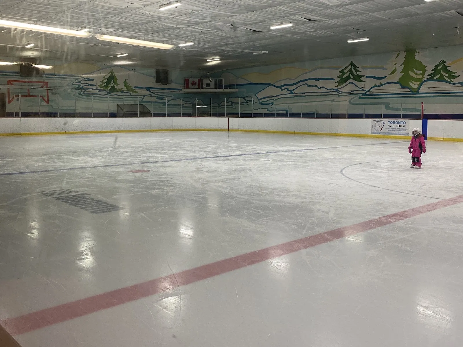 The ice at the Roding Community Centre arena in North York, with a painted mountain mural along the far wall and one young skater — Roding Community Centre