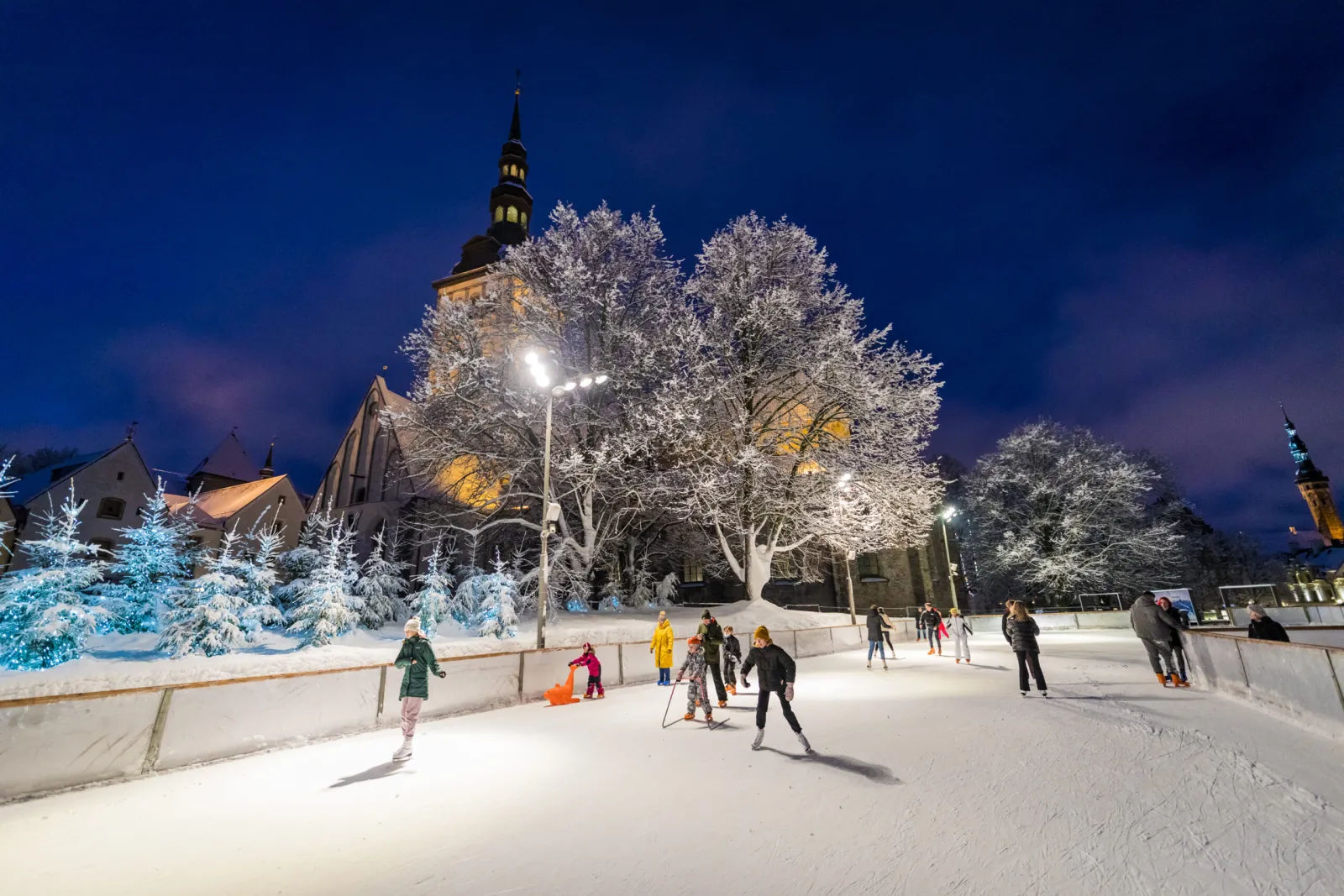 The Old Town outdoor ice at night, with a few skaters, snow-covered trees and the church spire behind the rink fence. — Vanalinna uisupark