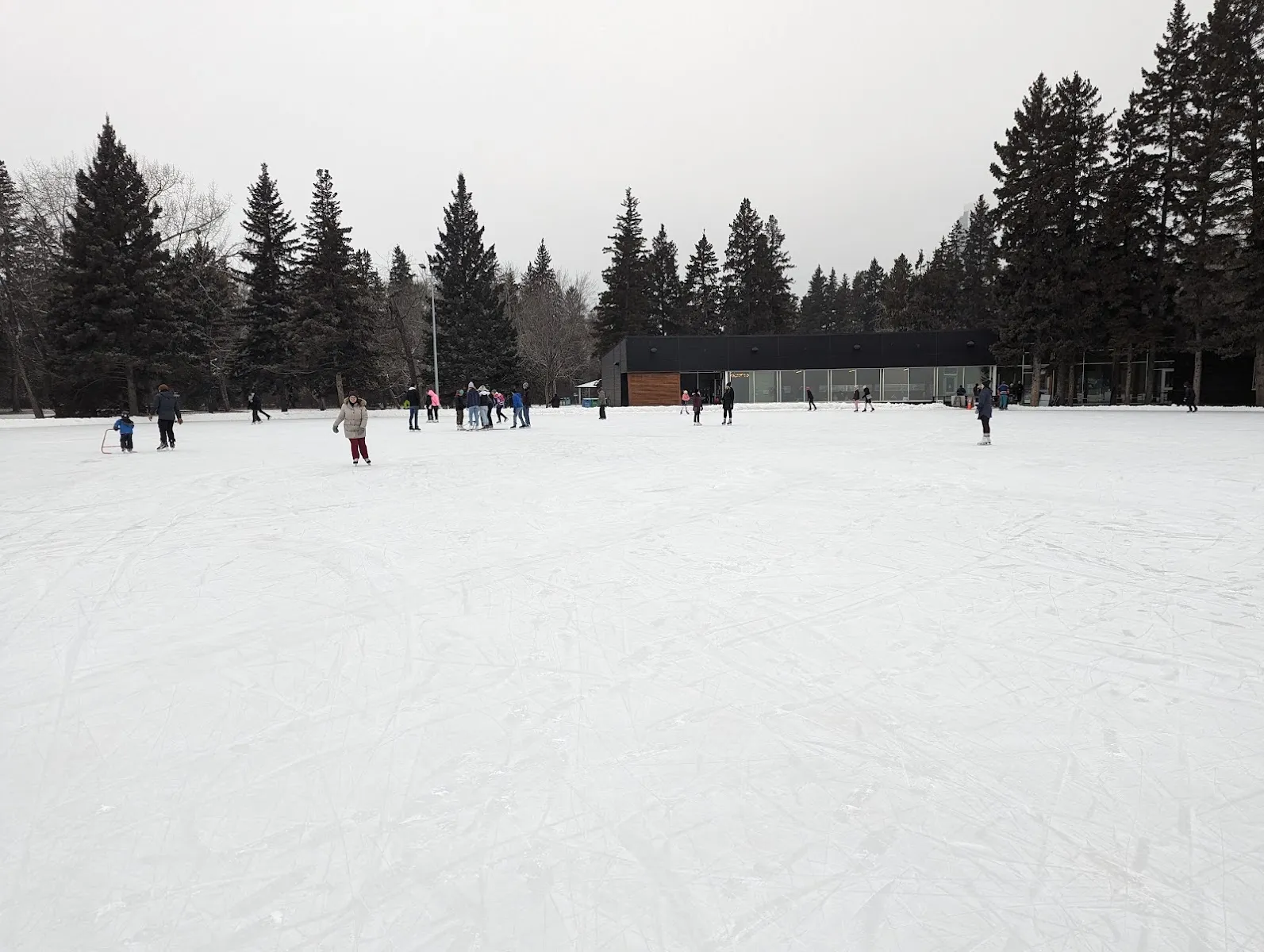 El hielo despejado del óvalo de patinaje de Victoria Park en invierno, con patinadores dispersos y el pabellón del parque y abetos al fondo — Victoria Park IceWay and Skating Oval