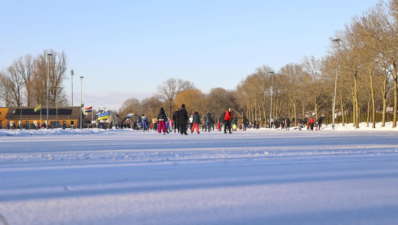 A crowd of skaters in the distance on the wide snow-dusted natural-ice rink at Genemuiden, with bare trees and floodlight masts and the clubhouse at the far edge under a clear blue sky. — Volksijsbaan De Eendracht (Genemuiden)