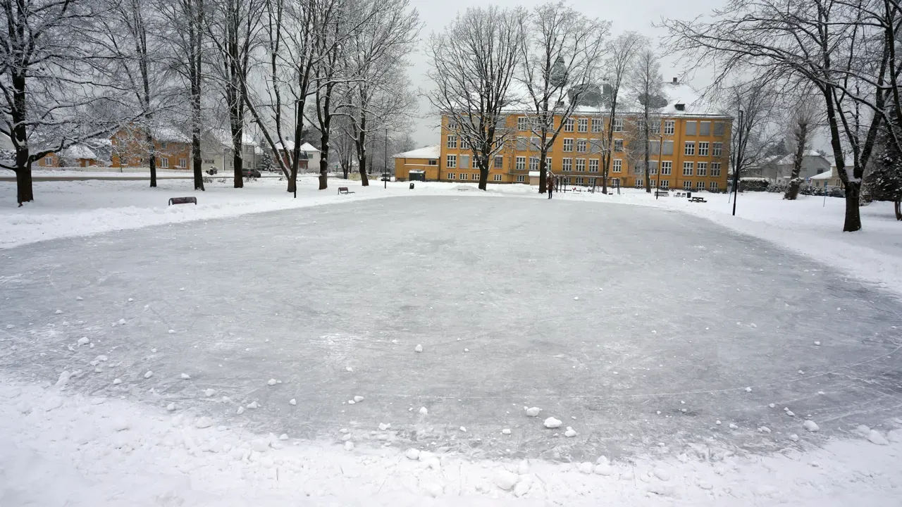 The flooded ice sheet in the park by Volla school, with bare trees around it and the yellow school building behind. — Vollaparken skøytebane (Lillestrøm)