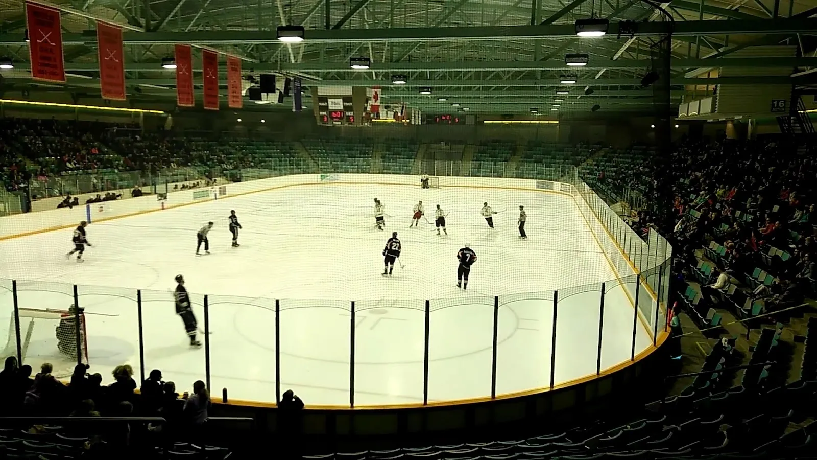Un partido visto a través de las vallas cercanas, con jugadores repartidos por una pista amplia, con gradas de ribete verde detrás y un techo de madera y acero arriba. — Waterloo Memorial Recreation Complex
