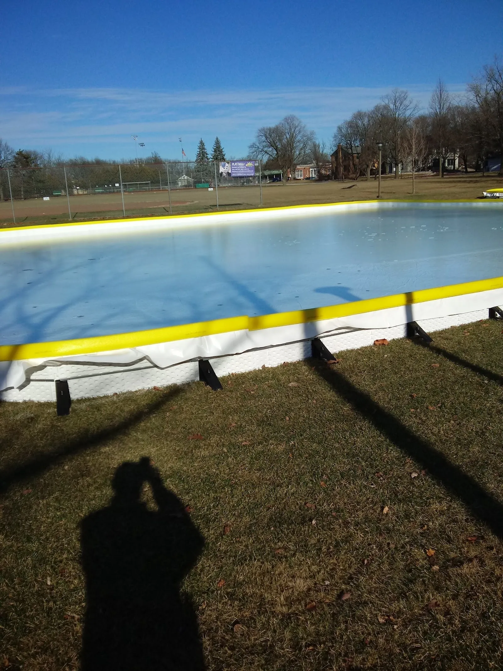 Edge of the outdoor ice pad at Wentworth Park, with the yellow-capped boards and the park's grass and trees beyond. — Wentworth Ice Rink